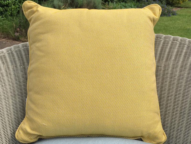 St. Tropez Scatter in Citron