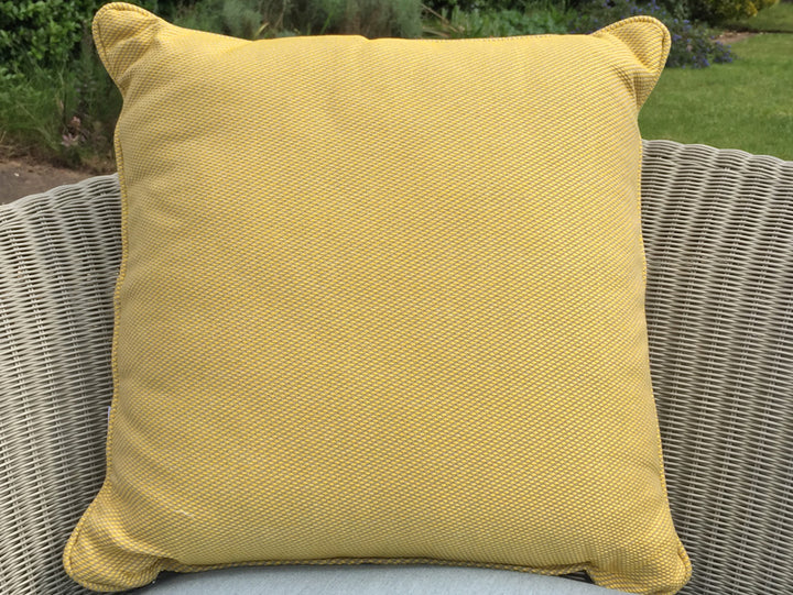 St. Tropez Scatter in Citron