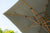 Hawaii 350cm x 350cm Teak Effect Pole Square Cantilever Parasol with 120kg Moveable Granite Base